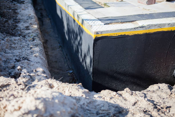 Professional Wet Basement Repair technician working in Palo, MI