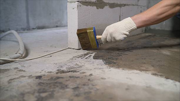 24/7 Emergency Wet Basement Repair experts in Palo, MI